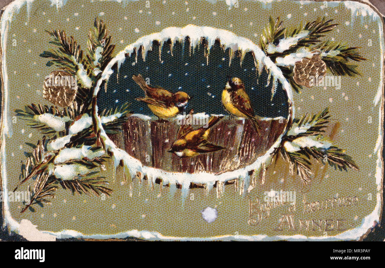 Le Français Bonne Année, carte postale représentant des oiseaux sur une branche, vers 1900 Banque D'Images