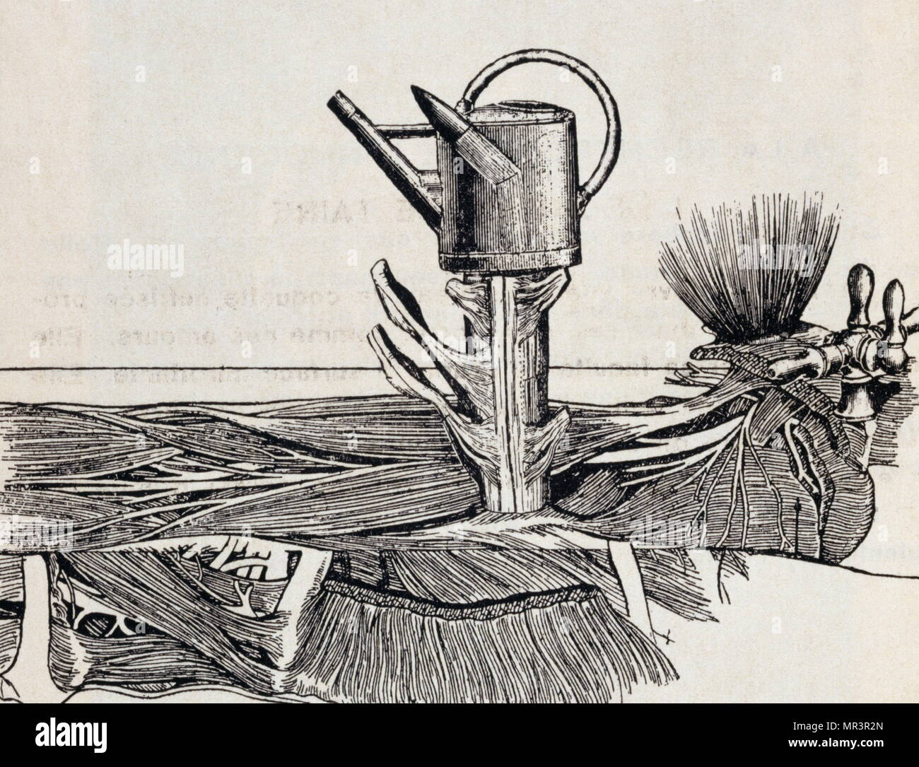 Les malheurs des Immortels. Créateur, Max Ernst, Paul Éluard, 1891-1976 et 1895-1952. Éluard était un poète surréaliste français Banque D'Images