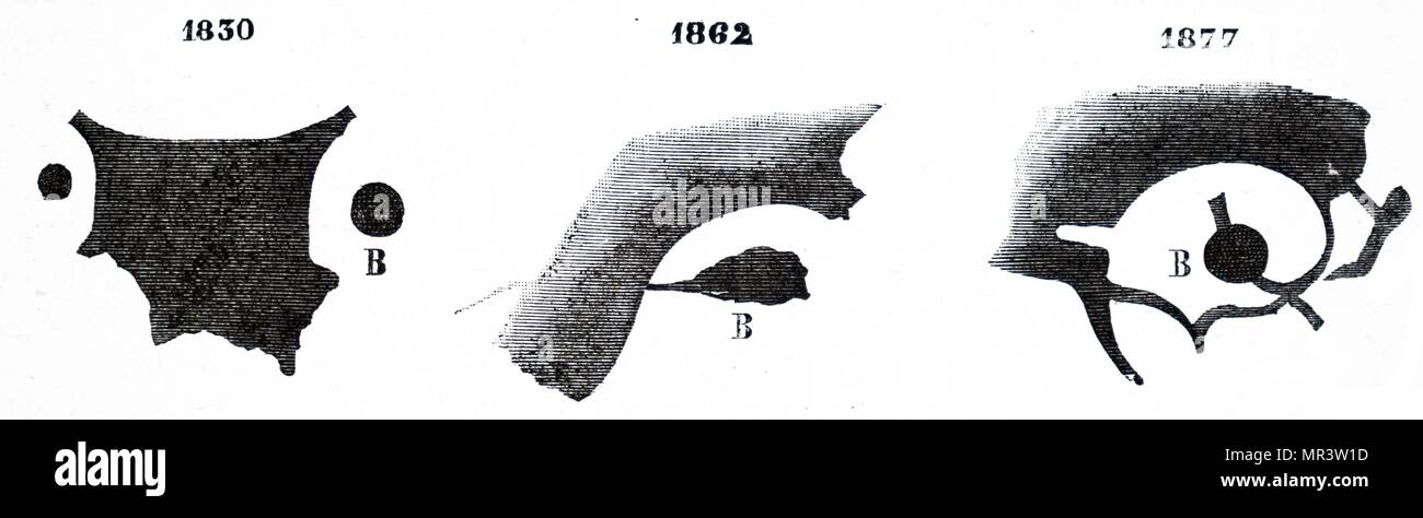 Illustration montrant les variations probables dans les fonctionnalités de Lockyer's sea, sur la base d'observations faites au cours de près de 50 ans. Norman Lockyer (1836-1920) un scientifique anglais et astronome. En date du 19e siècle Banque D'Images