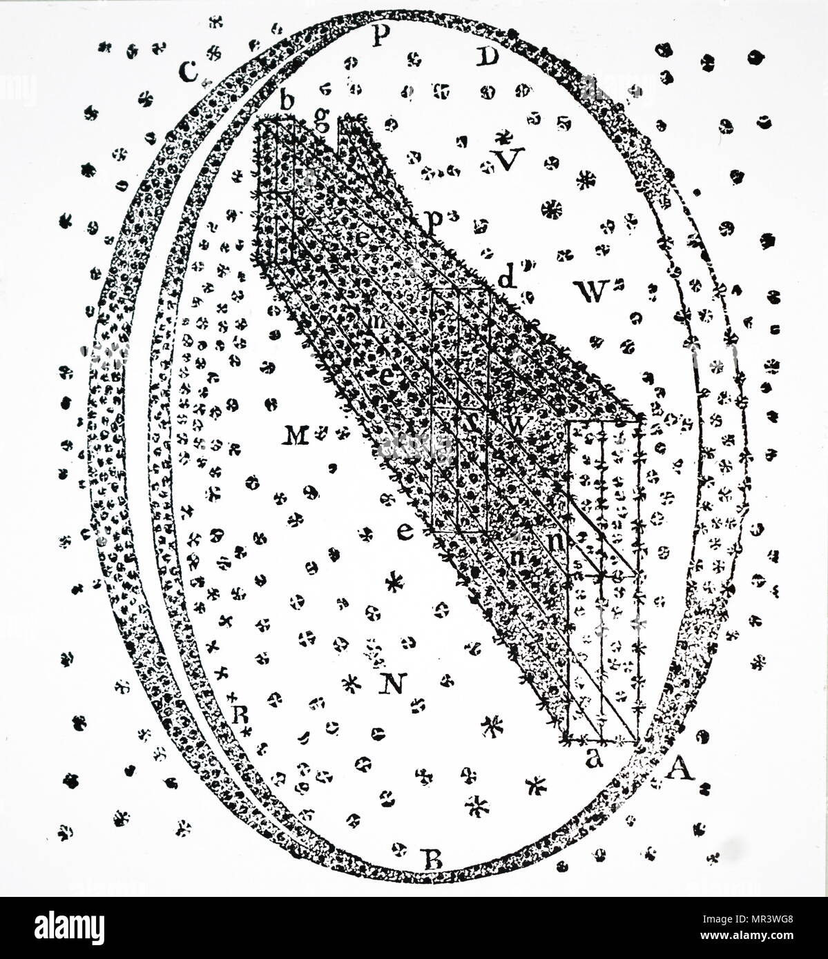 Illustration de William Herschel idée du système de la Voie lactée. William Herschel (1738-1822), un astronome britannique et compositeur. En date du 19e siècle Banque D'Images