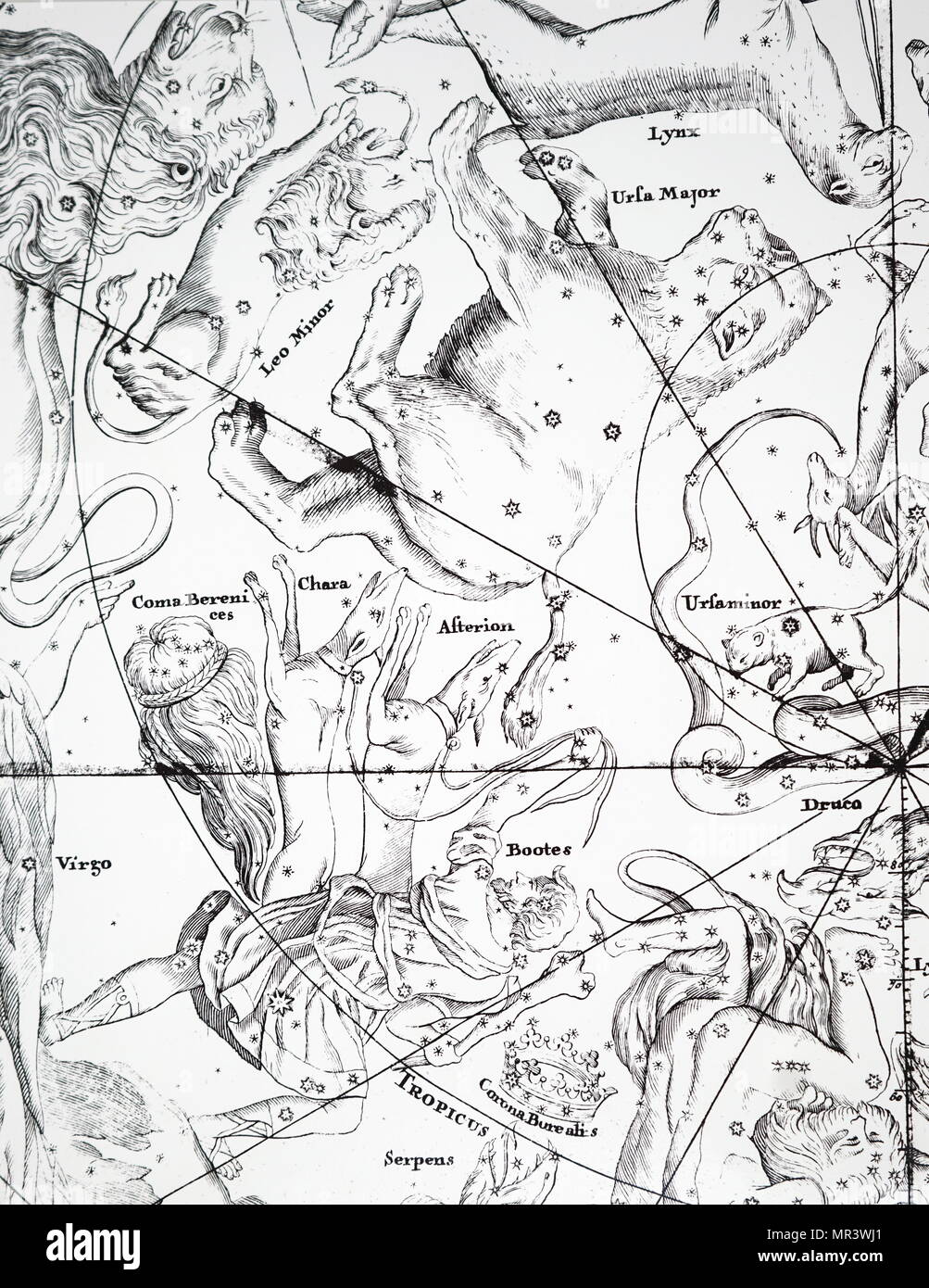 Tableau montrant les constellations dans la région de la Grande Ourse et Bootes. En date du 18e siècle Banque D'Images