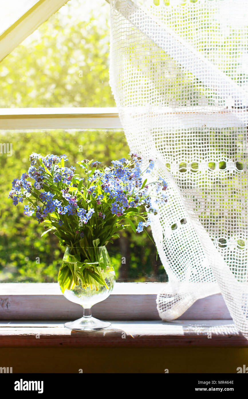 Bouquet de la fraîcheur des myosotis (Myosotis arvensis) dans le verre sur le rebord de la fenêtre dans la vieille maison rustique Banque D'Images