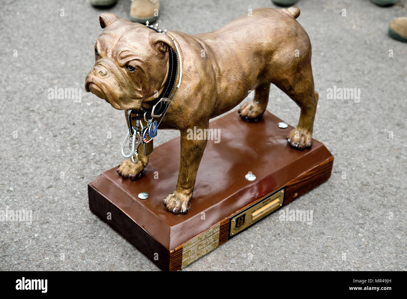 Le 'Top Dawg' trophy transports attend dans ses nouveaux locaux à la base aérienne de Little Rock, Ark., le 28 avril 2017. Le trophée, une sculpture en bronze grandeur nature d'un bouledogue, a été attribué à l'antenne 96e Escadron de Port au cours de la réserve de la Force aérienne 2017 Port Commande Dawg Défi à Dobbins Air Reserve Base, en Géorgie, du 25 au 27 avril. La 96e l'APS est la première unité à gagner l'ensemble du concours deux fois depuis qu'il a commencé en 2010. (U.S. Air Force photo par le Sgt. Jeff Walston/libérés) Banque D'Images