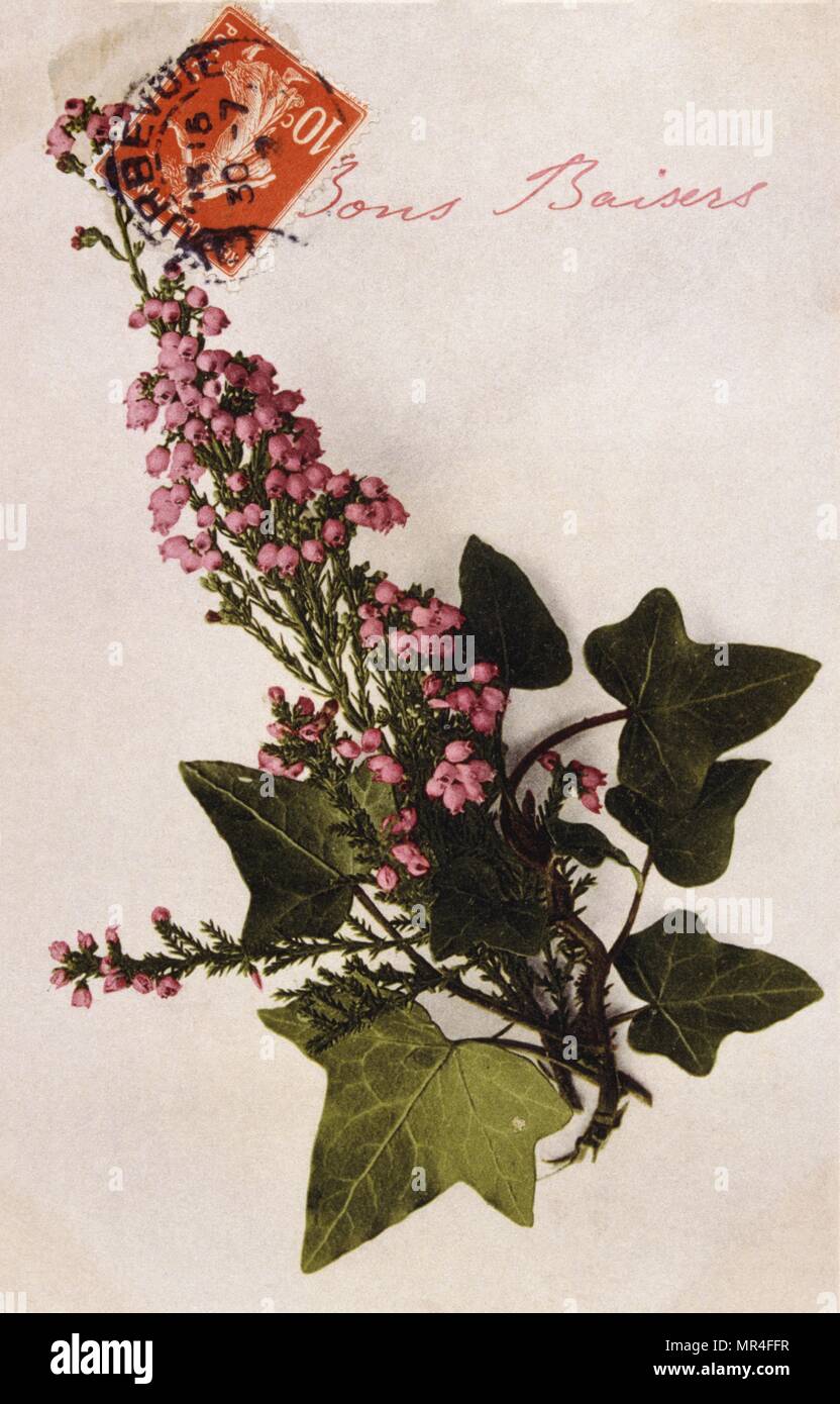 Carte postale française avec des images de fleurs 1900 Banque D'Images