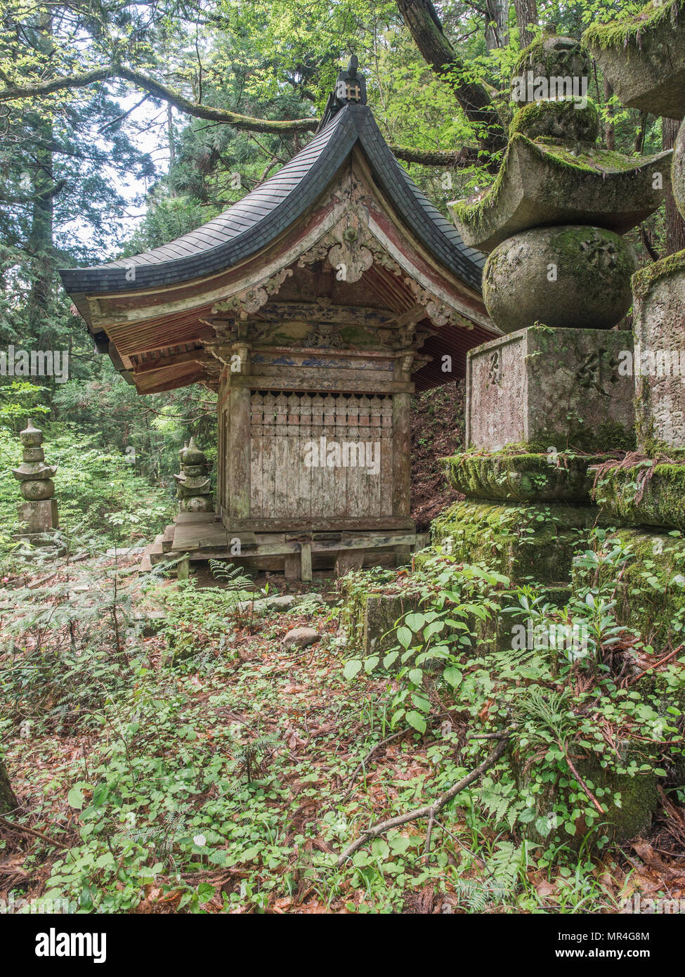 Mausolée de bois, et gorinto cinq étages, stupas, Okunoin, Koyasan, préfecture de Wakayama, Japon Banque D'Images