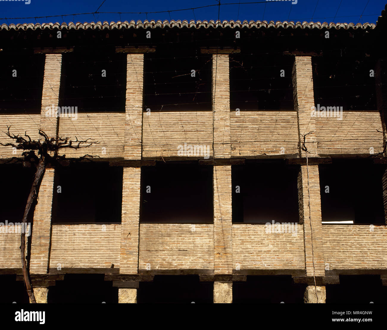 Grenade, Andalousie, espagne. Le Corral del Carbon (Corral de charbon). Détails architecturaux. Il est l'un des plus importants bâtiments préservés du période nasride. Il a eu de nombreux usages au cours de l'histoire. Le Corral del Carbon a été construit au 16ème siècle comme un Khan, au milieu de la zone commerciale. Après 1531 il fut appelé comme Corral del Carbon en raison de son utilisation comme espace de stockage pour le charbon. Au 16ème siècle a été adaptée à la Casa de Comedias (Chambre des comédies). À partir de la 17e siècle, il a été transformé en petits appartements avec une cour centrale. À l'heure actuelle est un centre culturel Banque D'Images
