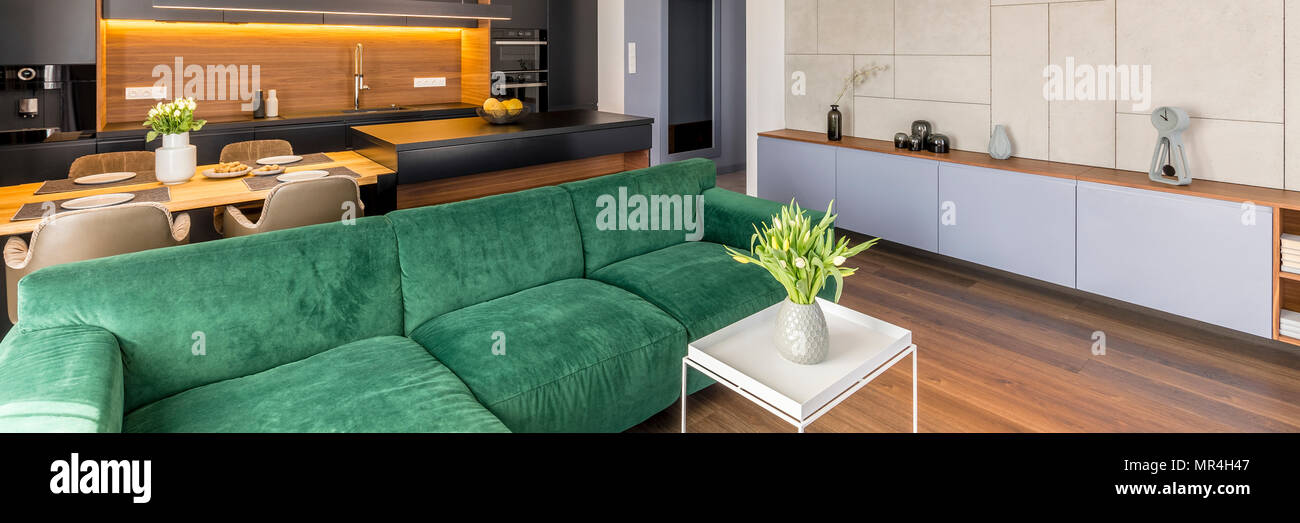 Vue latérale d'un canapé, table basse avec des fleurs, le cabinet et un coin cuisine avec une table à manger dans l'arrière-plan dans un espace libre intérieur appartement Banque D'Images