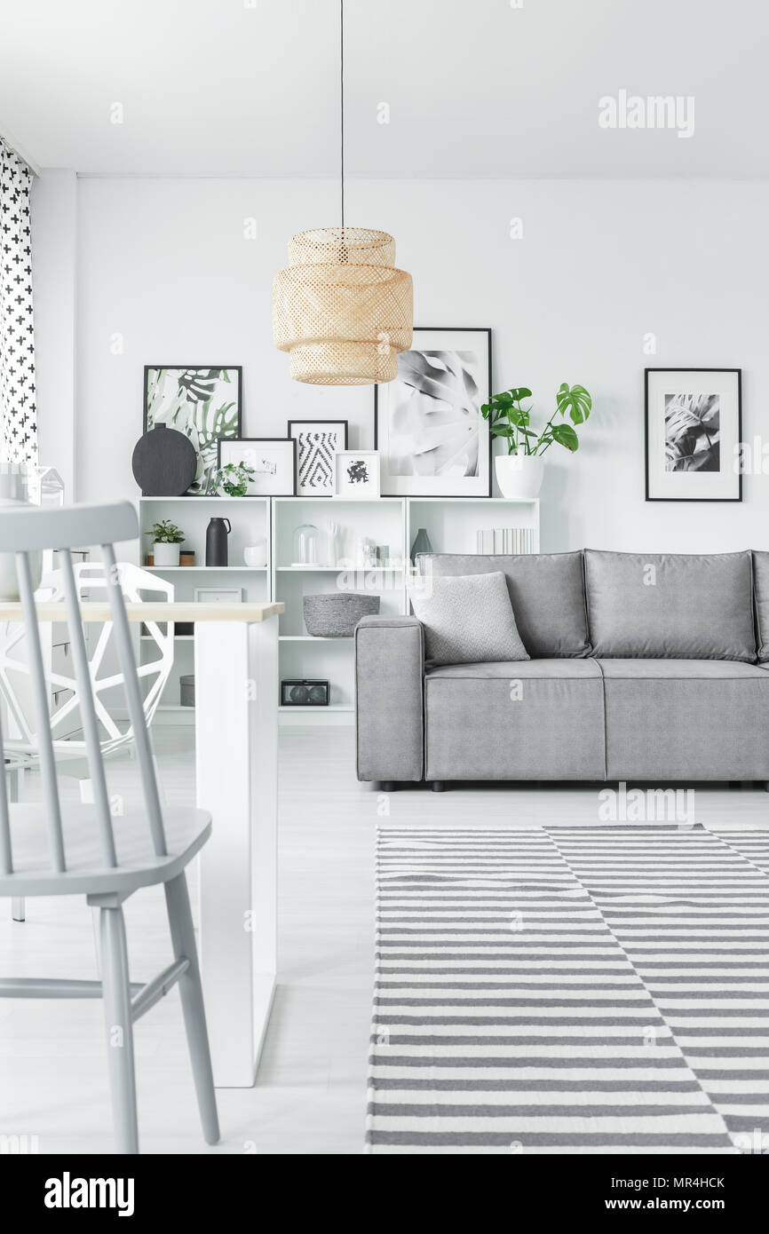 Art collection dans un livre blanc de l'intérieur salon avec un canapé-lit, chaise gris et beige lustre Banque D'Images