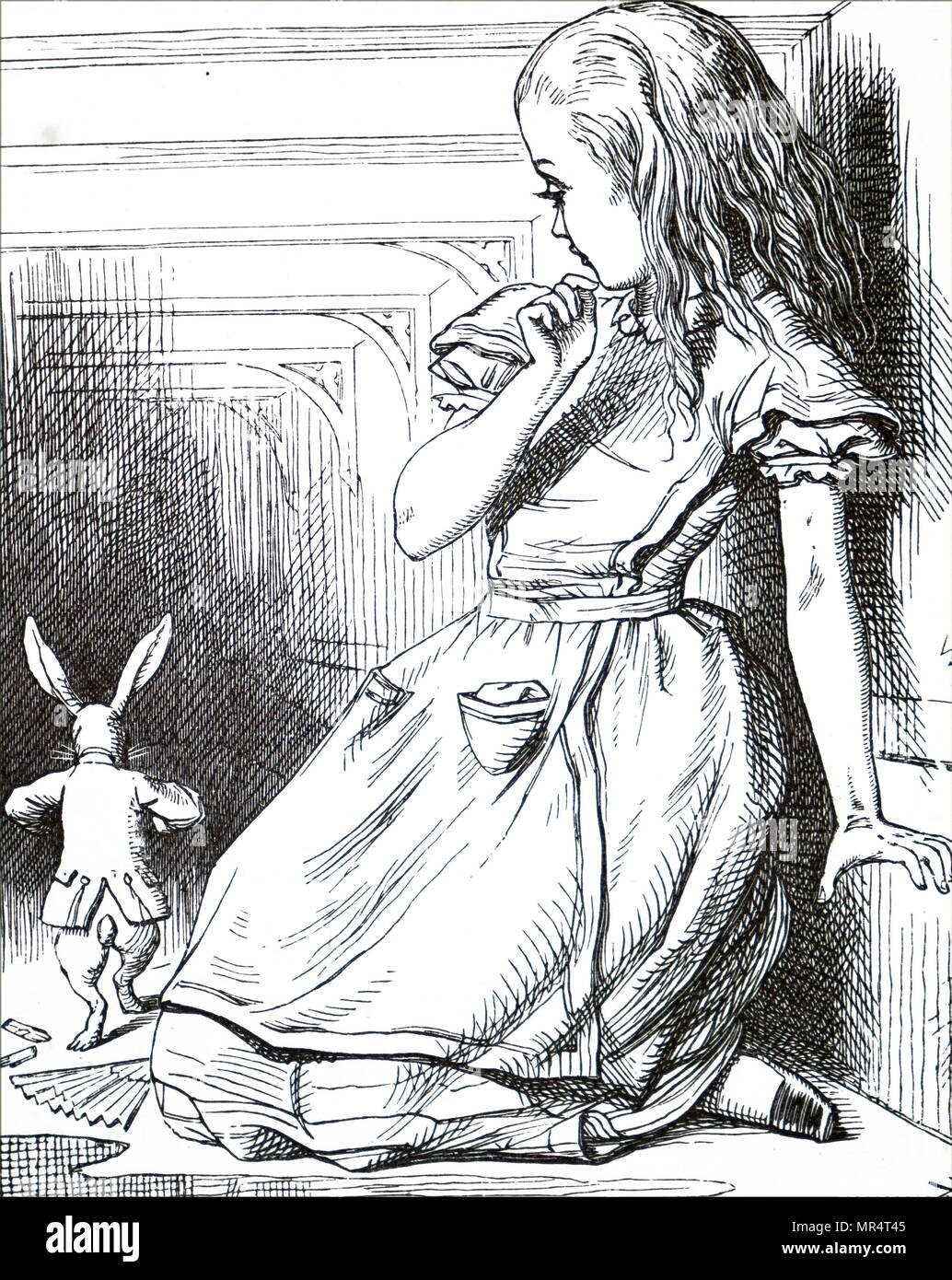 Illustration représentant une scène de Lewis Carroll, dans de l'autre côté, "et ce qu'Alice a trouvé là' - Alice, après avoir mangé le morceau de gâteau avec me manger dans corinthe sur elle, grandit 9ft de haut et n'est pas en mesure de passer à travers la porte du jardin, montres le lapin blanc courant dans l'obscurité. L'Illustre John Tenniel (1820-1914), un illustrateur anglais, graphique, humoriste et caricaturiste politique. En date du 19e siècle Banque D'Images
