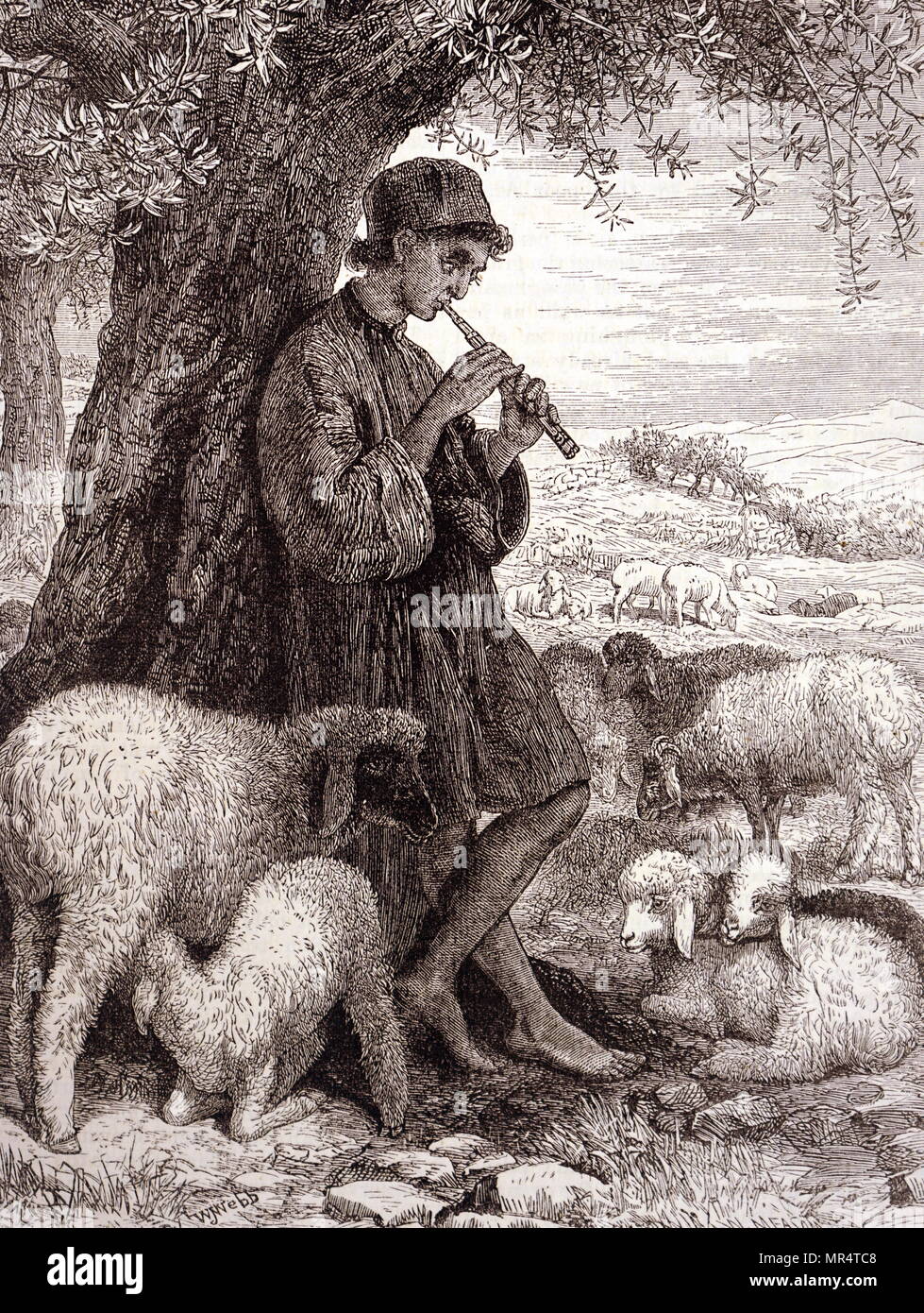 Tableau Décoratif Berger Avec Agneau - 56x46 Cm, Cadre Inclus, Reproduction Vintage Italie