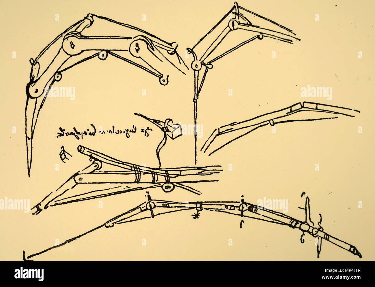 Croquis illustrant les ailes articulées par Leonardo da Vinci. Leonardo da Vinci (1452-1519) un grand penseur de la Renaissance italienne dont les domaines d'intérêt comprennent l'invention, la peinture, la sculpture, l'architecture, les sciences, la musique, les mathématiques, l'ingénierie, de la littérature, de l'anatomie, la géologie, l'astronomie, la botanique, l'écriture, l'histoire et la cartographie. En date du 16e siècle Banque D'Images