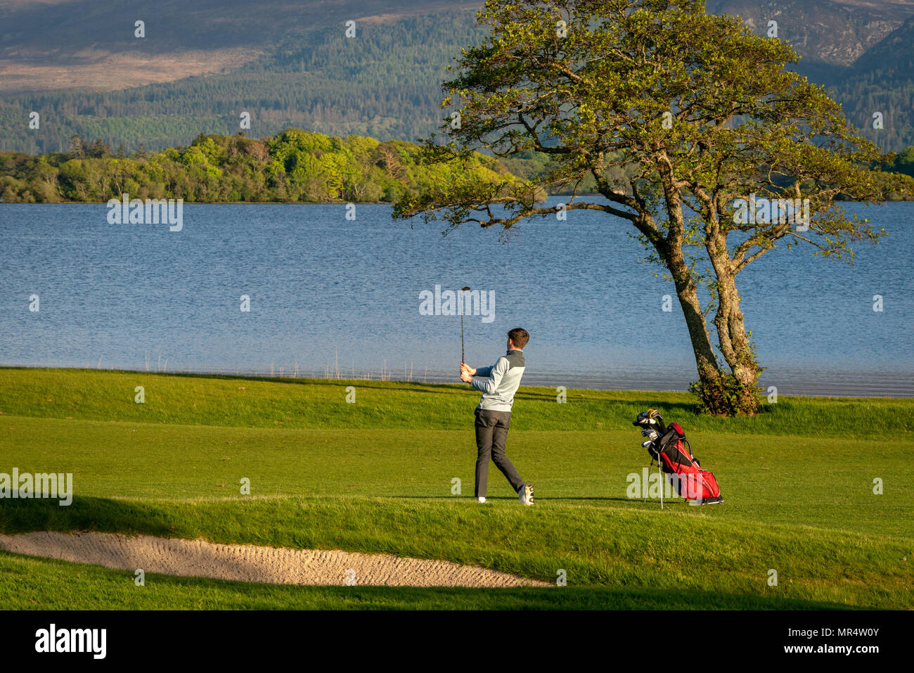 Golfeur solitaire jouant au golf de Fossa Golf and Fishing Club au bord du lac Lough Leane dans le parc national de Killarney, comté de Kerry, Irlande Banque D'Images