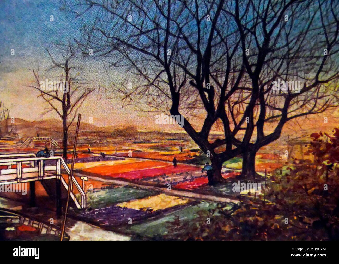 La peinture intitulée 'champs de tulipes au coucher du soleil, près de Haarlem' par Nico Jungmann. Nico Jungman (1872-1935) un peintre anglo-néerlandaise de paysages et de sujets de dessins. En date du 20e siècle Banque D'Images
