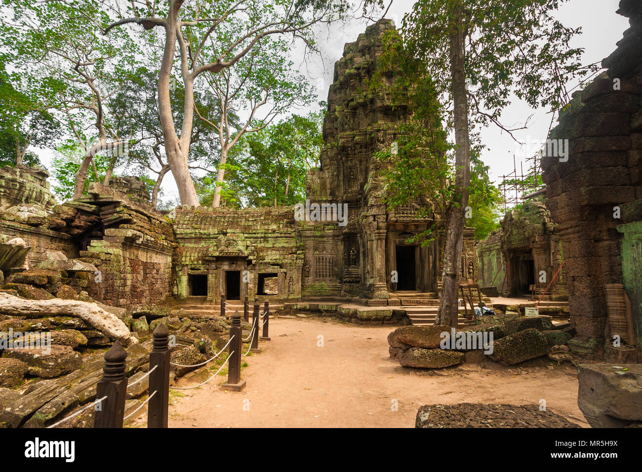 À l'intérieur de l'enceinte du temple Ta Prohm (Rajavihara). En cordée garde-corps ont été mis en place pour protéger le monument de plus amples dommages. Banque D'Images