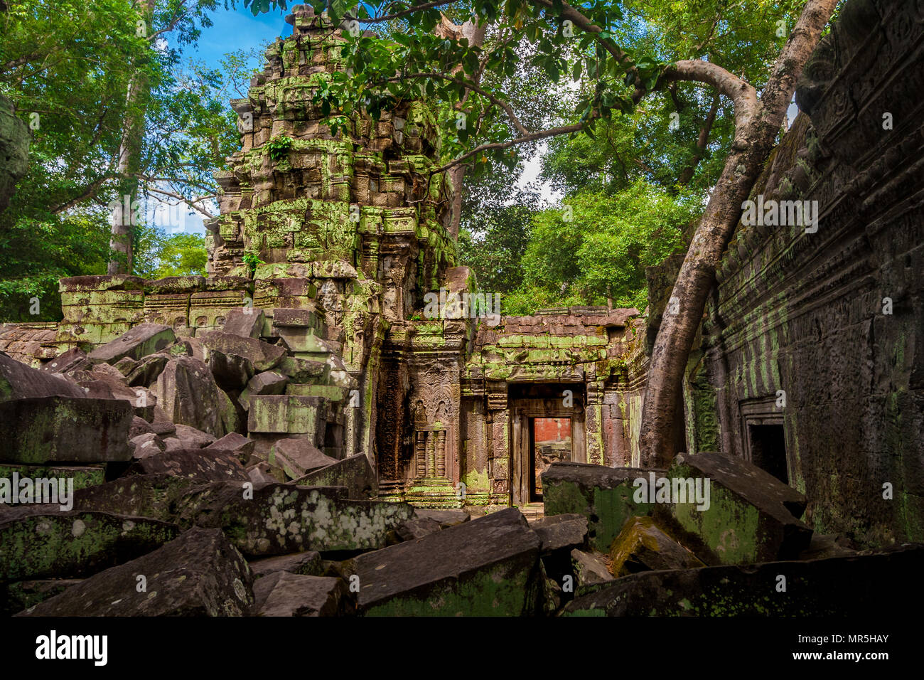 Découvrez l'ancienne porte de l'ouest du Cambodge, Ta Prohm temple (Rajavihara) sous un angle différent. Banque D'Images