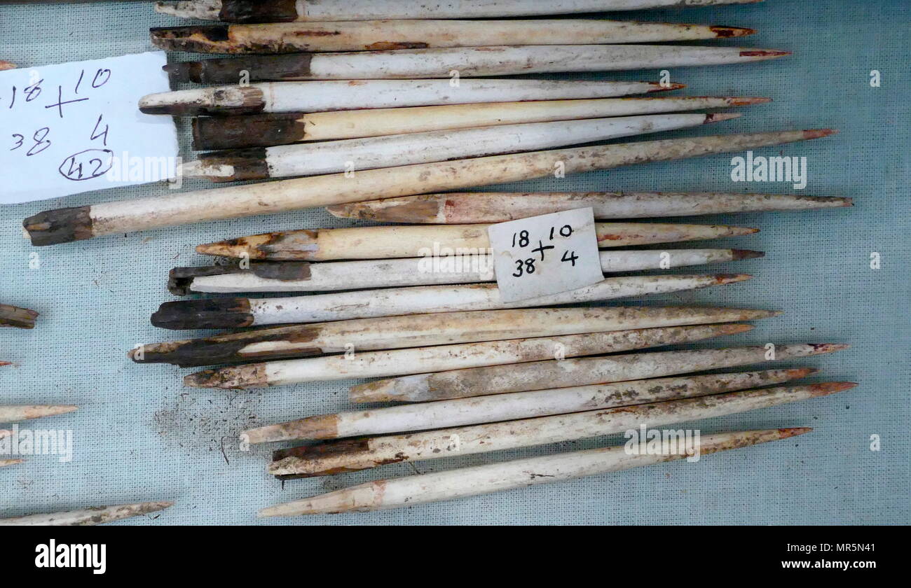 18e dynastie égyptienne antique des flèches de Reed et l'os, certains avec des traces de poison rouge. Banque D'Images