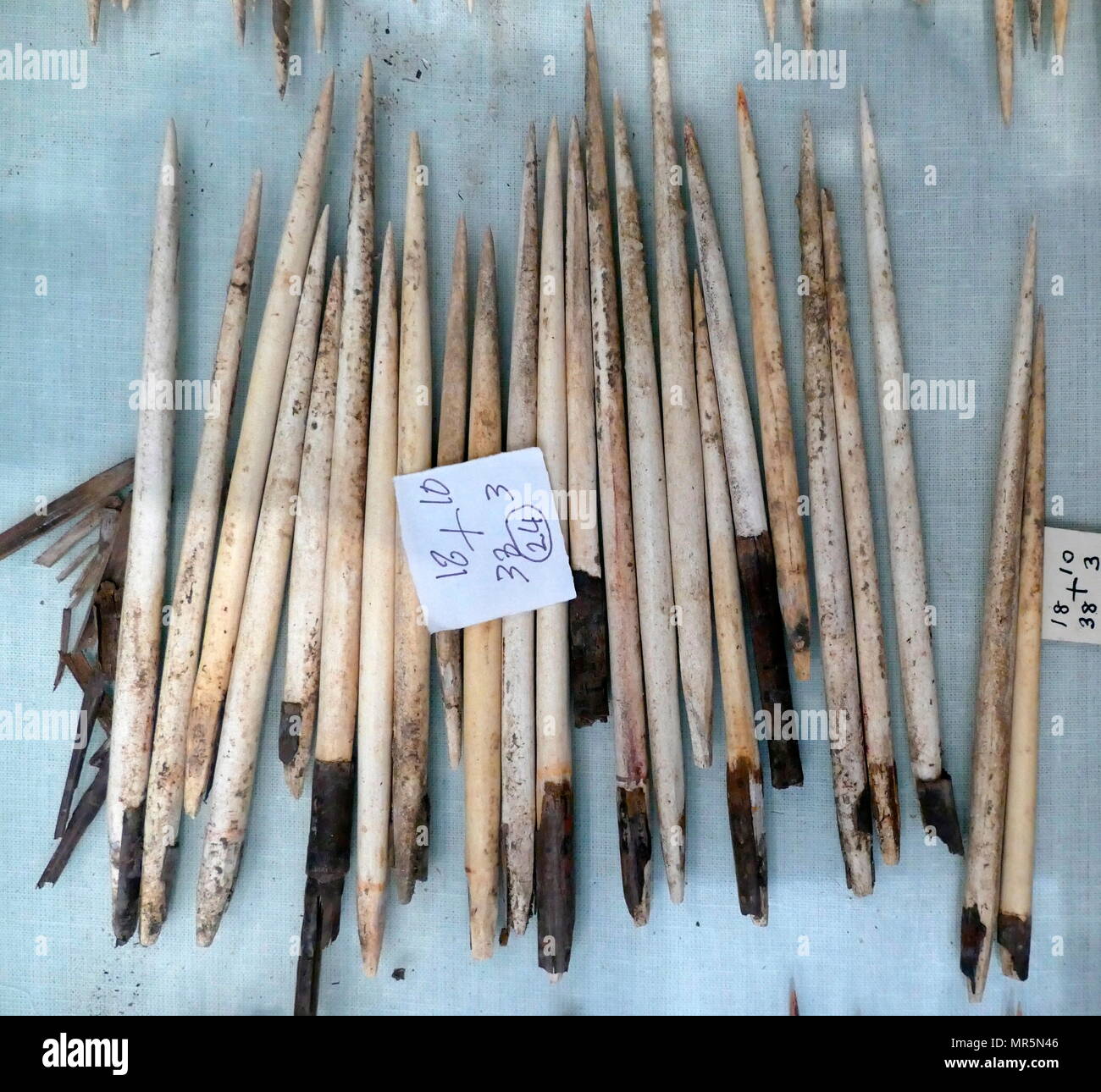 18e dynastie égyptienne antique des flèches de Reed et l'os, certains avec des traces de poison rouge. Banque D'Images