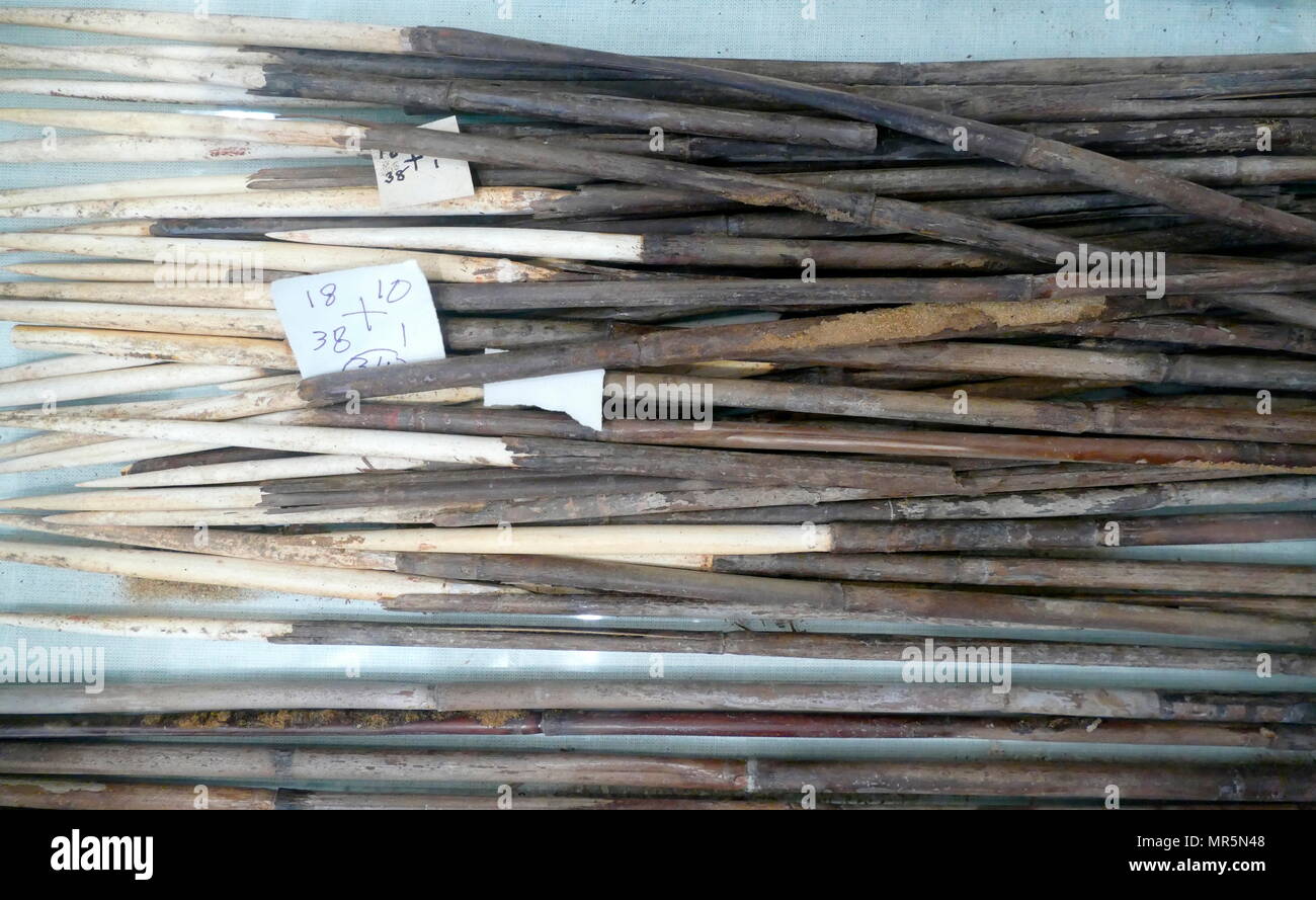 18e dynastie égyptienne antique des flèches de Reed et l'os, certains avec des traces de poison rouge. Banque D'Images