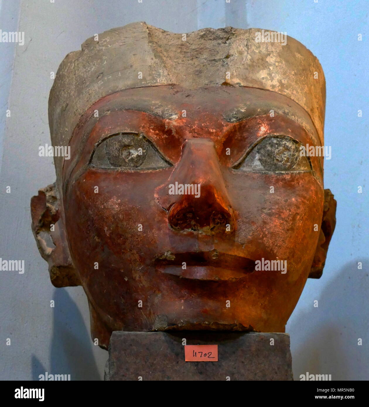 Statue de l'Égypte ancienne (calcaire peint) restent montrant le buste de la reine Hatchepsout qui a gouverné l'Égypte de 1479 à 1458 AV 18e dynastie, le nouveau royaume Banque D'Images