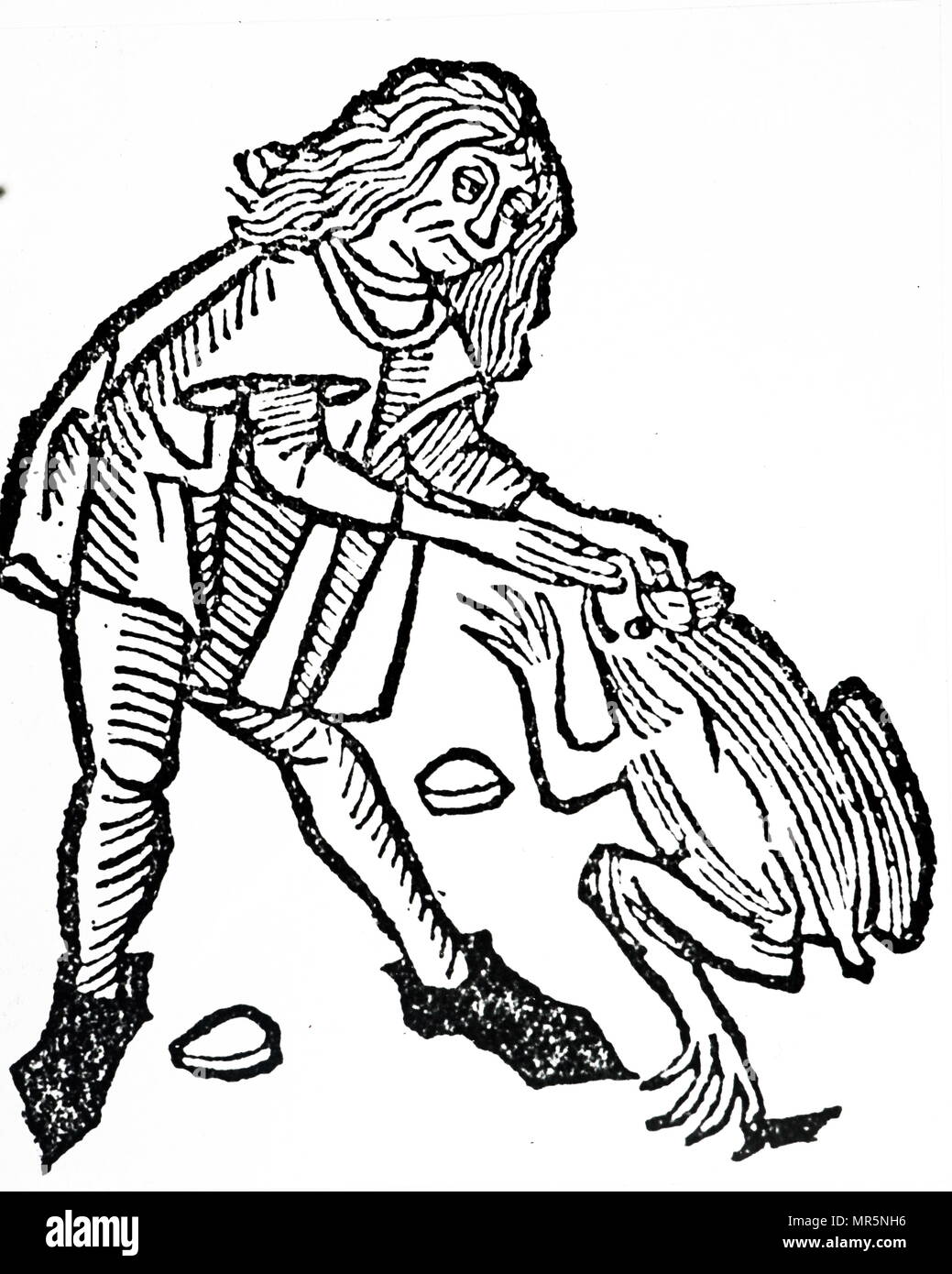 Gravure sur bois représentant l'extraction d'une pierre précieuse que l'on croit exister dans la tête d'un crapaud. En date du 15e siècle Banque D'Images