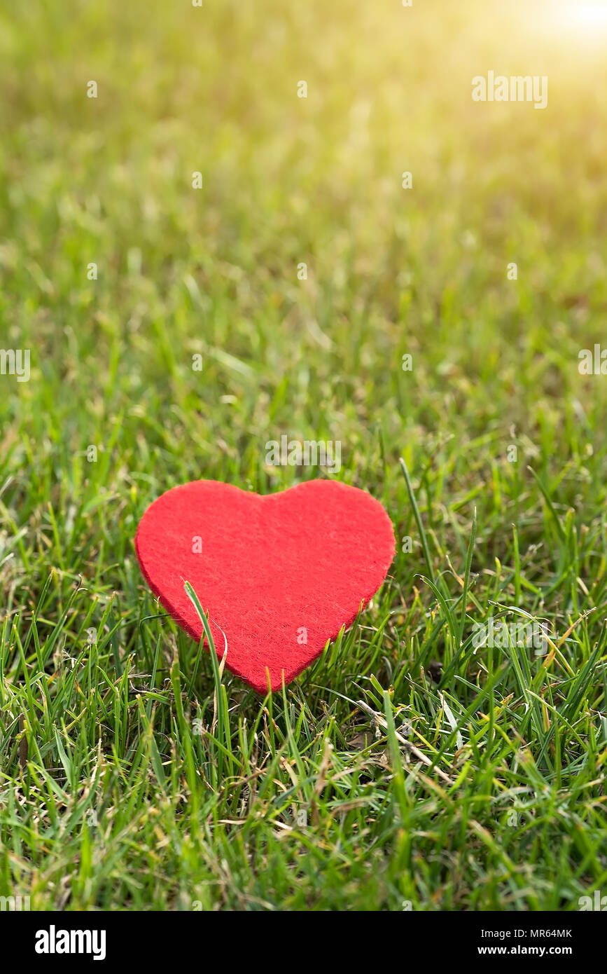 Cœur rouge sur l'herbe verte d'artifices with copy space Banque D'Images