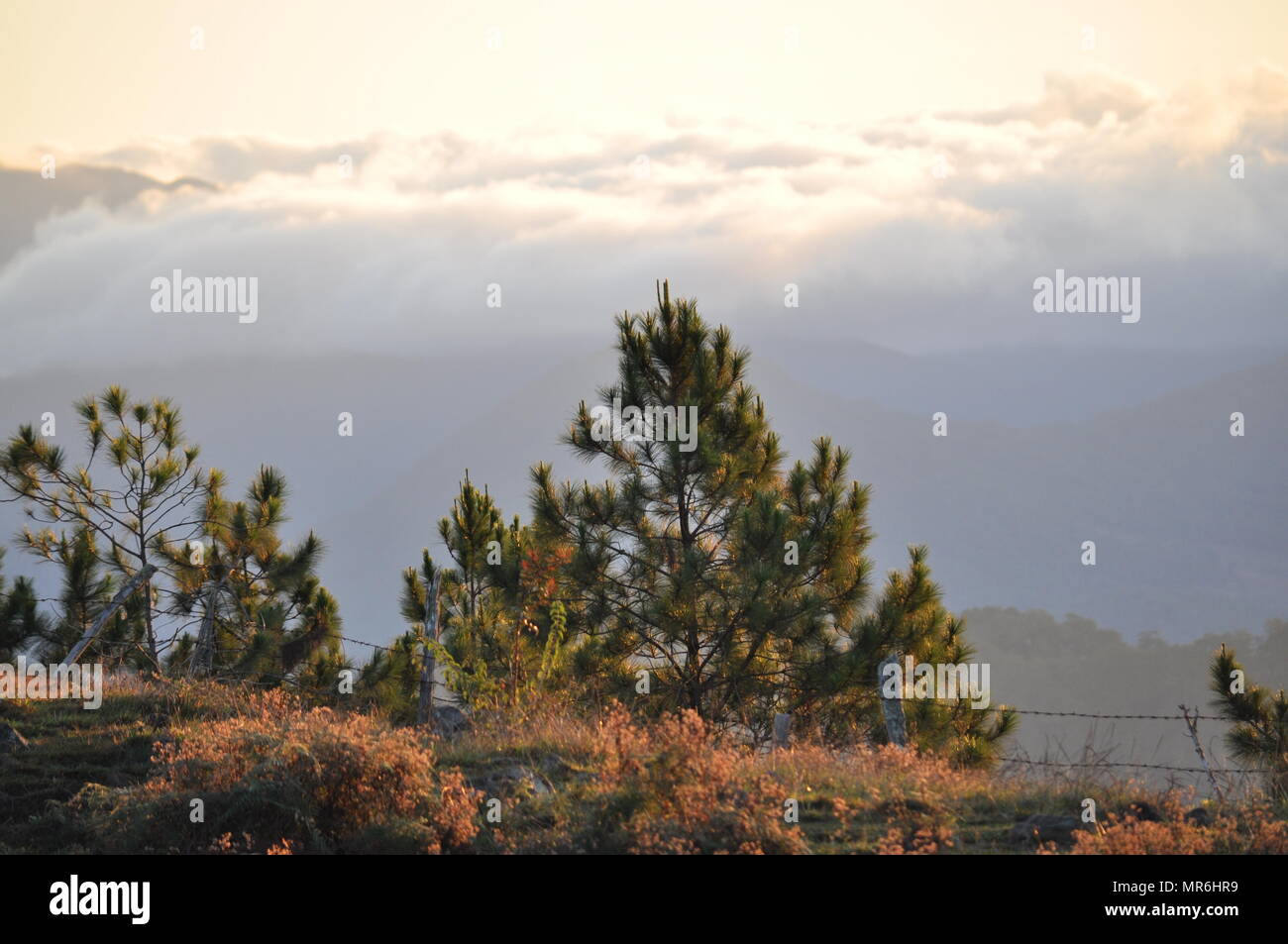 Nuages couvrant les crêtes des montagnes de la Cordillère campagne au petit matin vue depuis le mont Ulap lors de notre journée de randonnée sur l'ÉCO-TRAIL. Banque D'Images