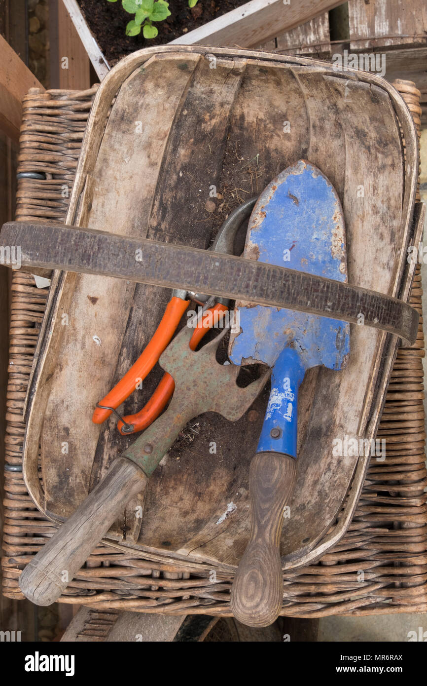 Panier de truche de jardin avec fourche à truelle et sécateurs Banque D'Images