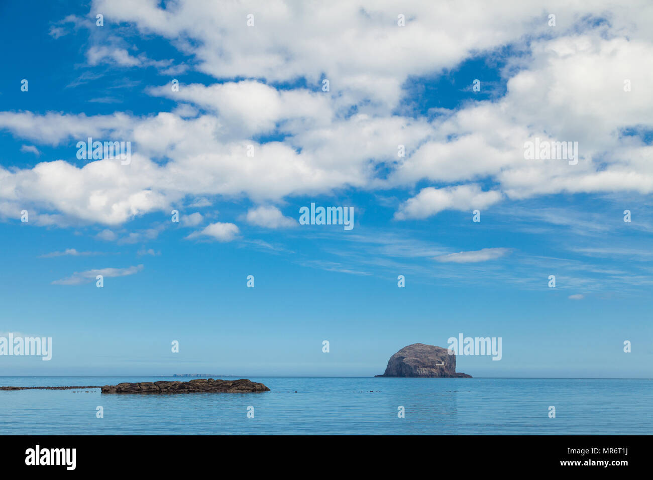Bass Rock près de North Berwick East Lothian en Écosse. Banque D'Images