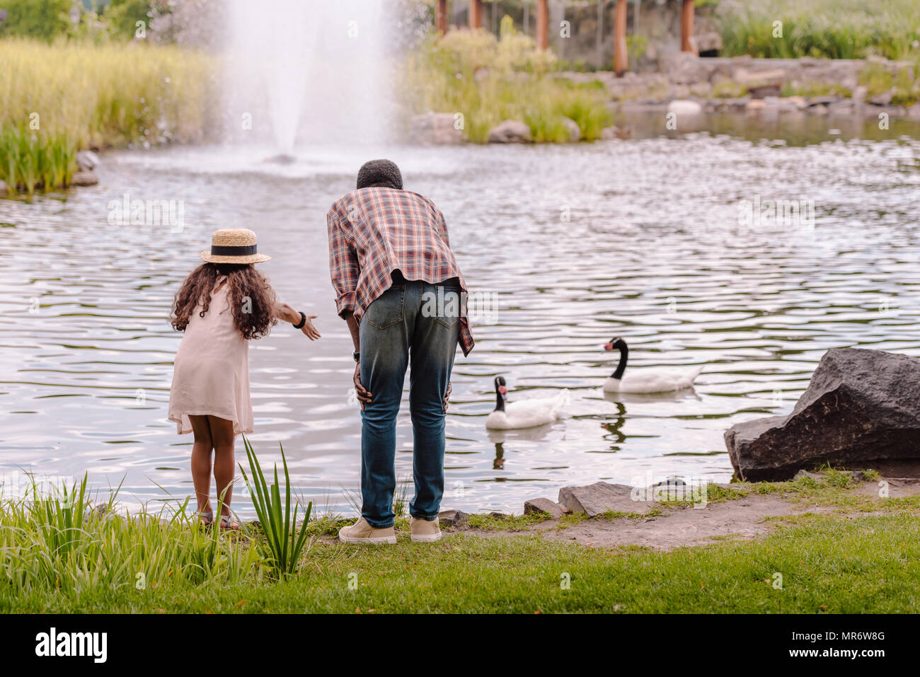 Vue arrière de l'african american petite-fille et son grand-père James sur l'alimentation dans le parc de l'étang Banque D'Images