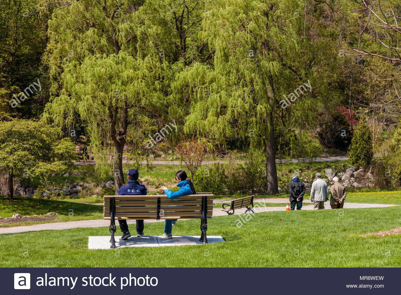Couple Sur Un Banc De Parc Avec Des Arbres Au Printemps Dans Un Parc Jardin Jardins Edwards Dans Un Ravin A Toronto Ontario Canada Photo Stock Alamy