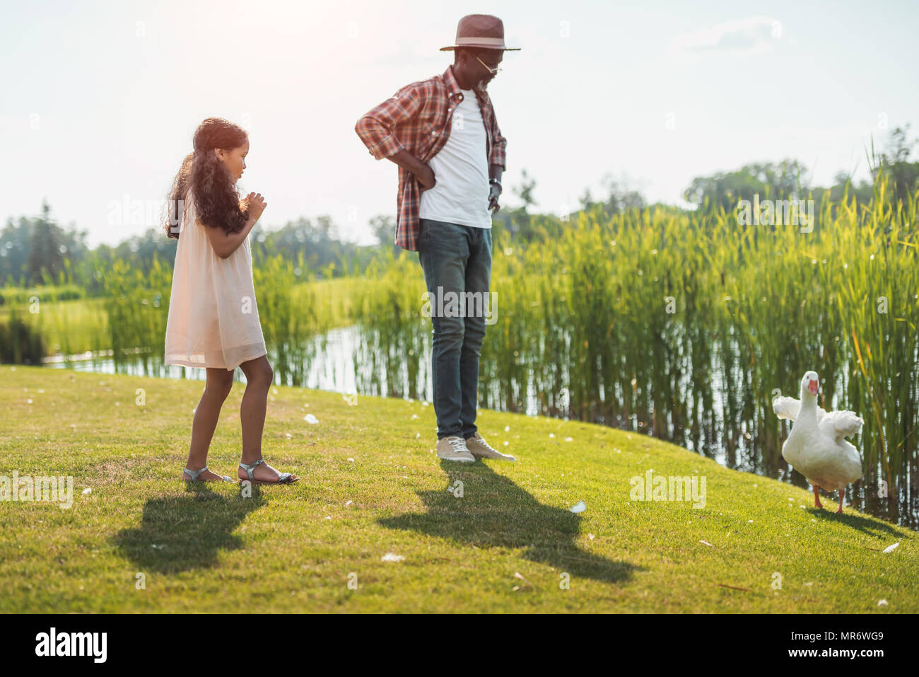 African American petite-fille et son grand-père debout à Goose Lake avec Banque D'Images