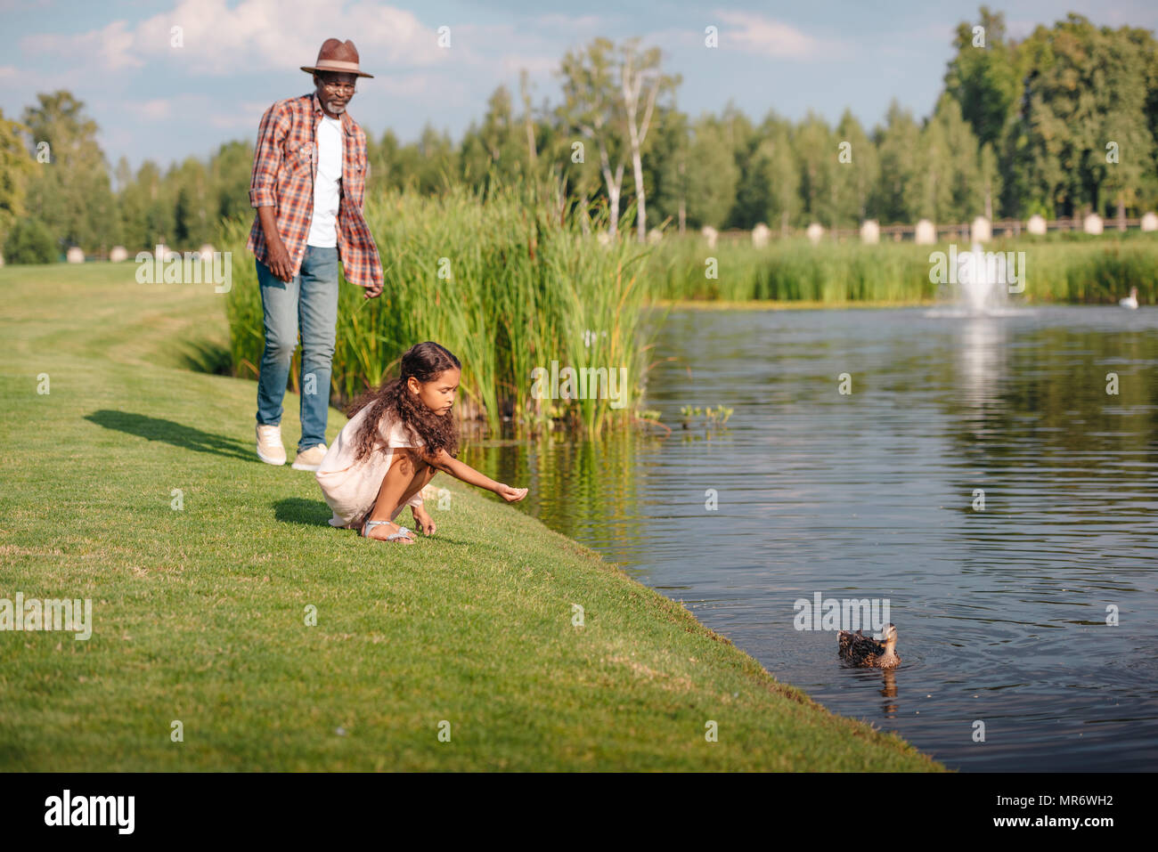 African American petite-fille et son grand-père sur le lac canard alimentation in park Banque D'Images