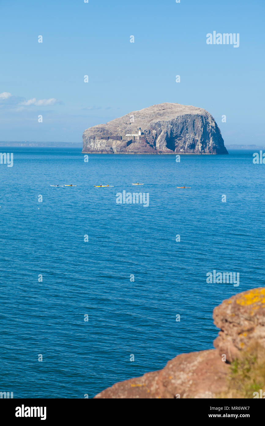 Bass Rock près de North Berwick East Lothian en Écosse. Banque D'Images