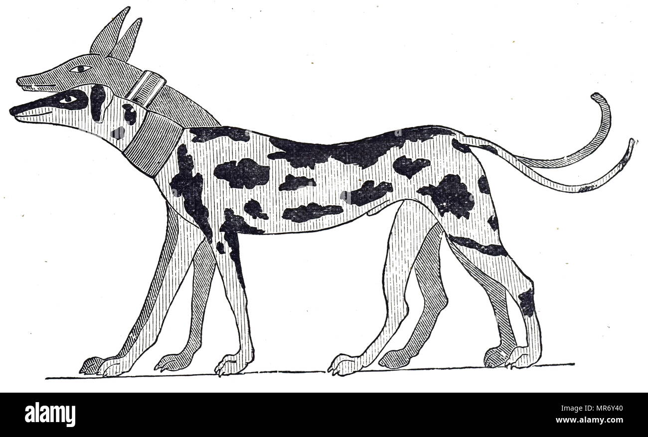 Gravure d'après une ancienne tombe égyptienne peinture représentant les chiens de chasse. En date du 19e siècle Banque D'Images