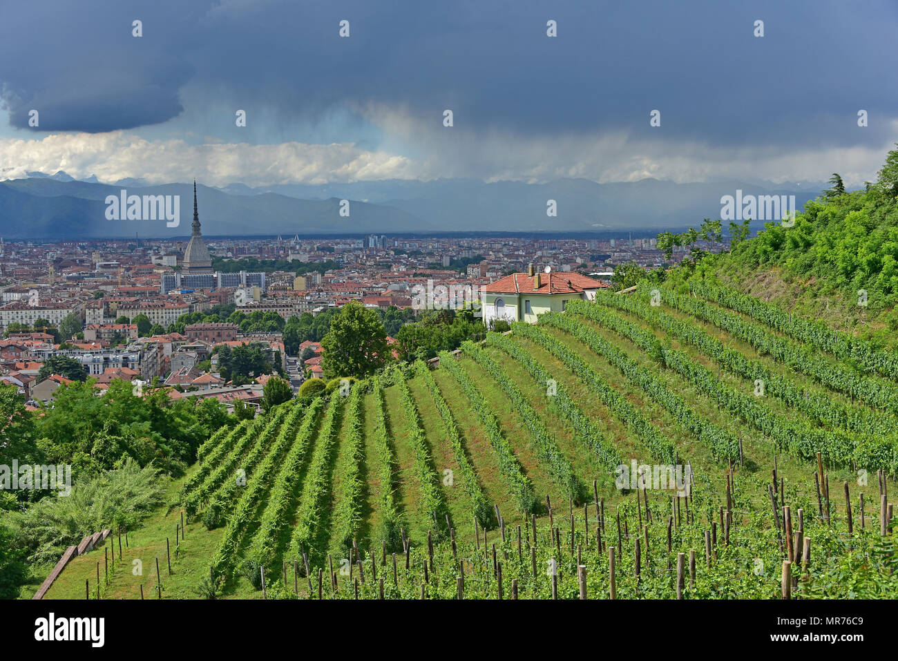 Villa della Regina, vue sur le vignoble royal de Turin, la ville de Molo, alpes et pluie dans la distance, Turin, Italie Banque D'Images