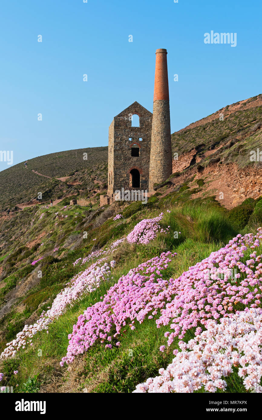 Ancienne mine d'étain près de Chapel porth, à Cornwall, Angleterre, Grande-Bretagne, Banque D'Images