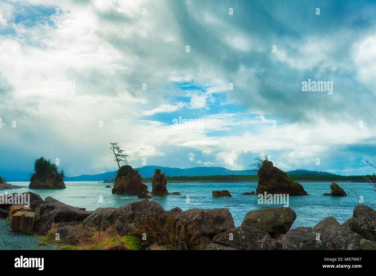 Roches intertidales dans Tillamook Bay près de Wheeler, de l'Oregon sur la côte de l'Oregon Banque D'Images