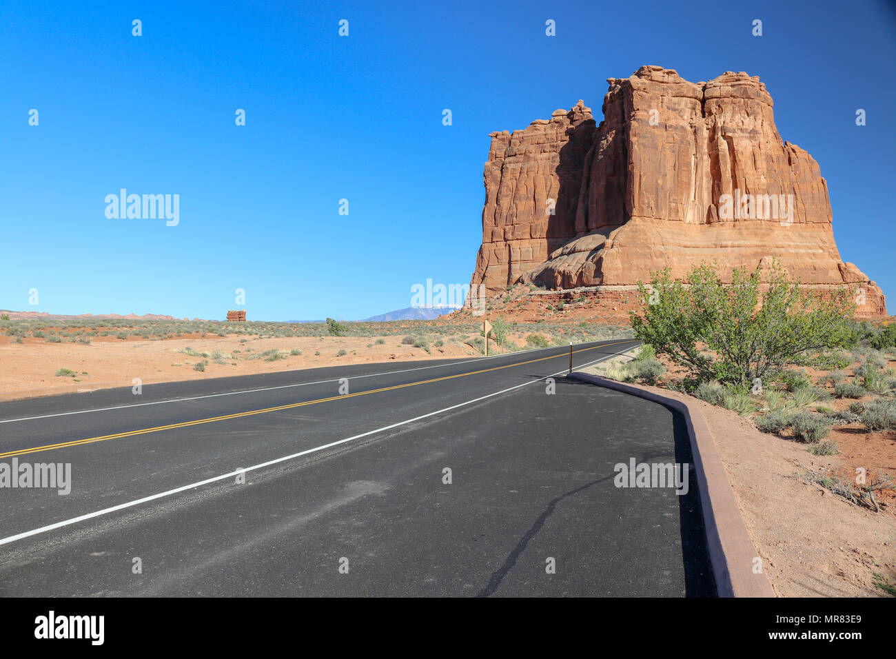 Dunes pétrifiées à l'Arches National Park Moab Utah Banque D'Images