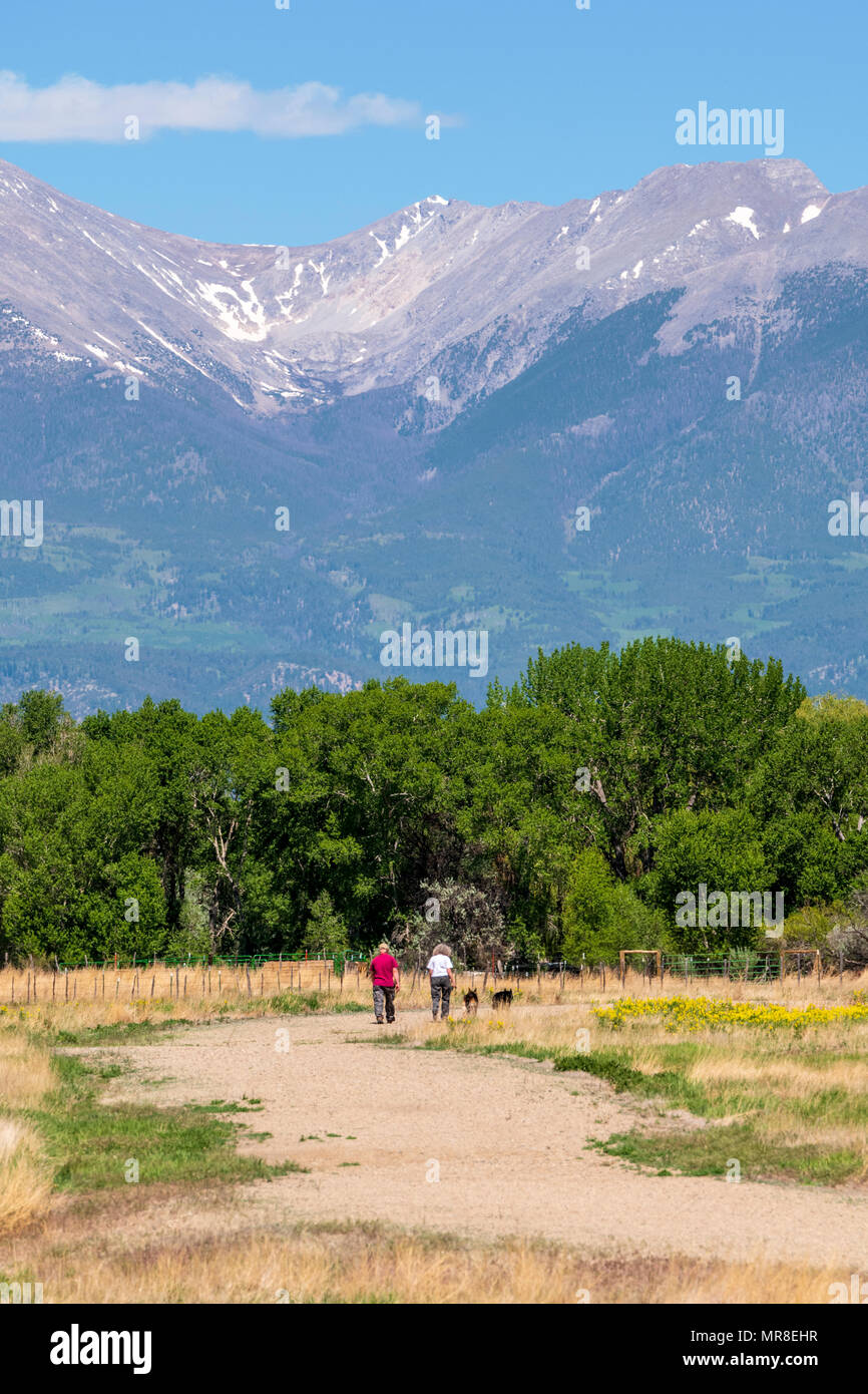 Couple walking leurs deux chiens de berger allemand sur un ranch du Colorado ; Salida ; Colorado ; USA Banque D'Images