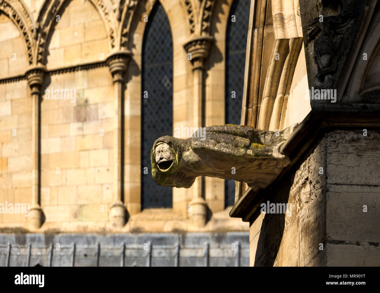 York Minster, York en Angleterre. Banque D'Images