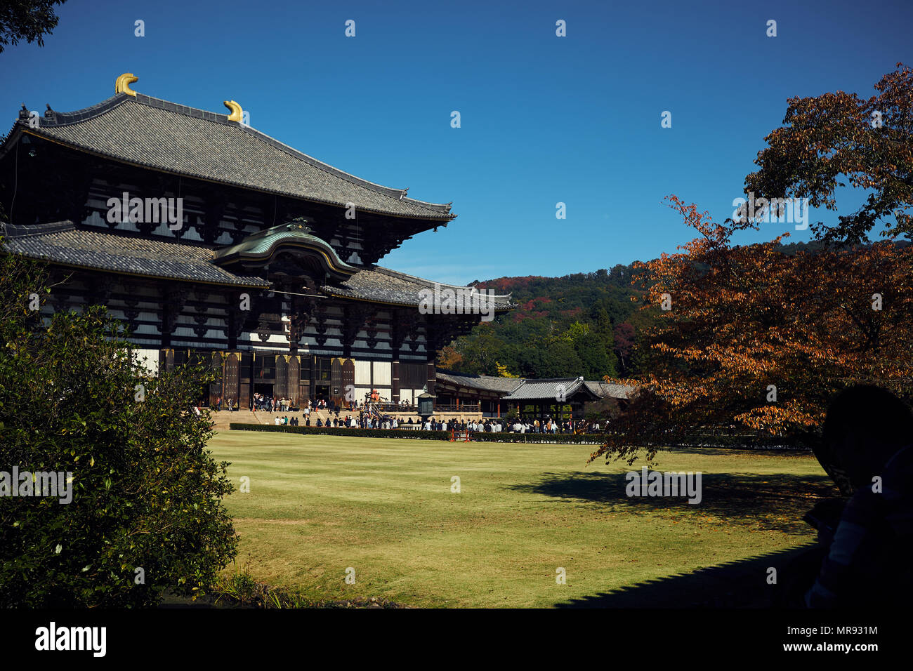 Tōdai-ji à Nara, Japon Banque D'Images