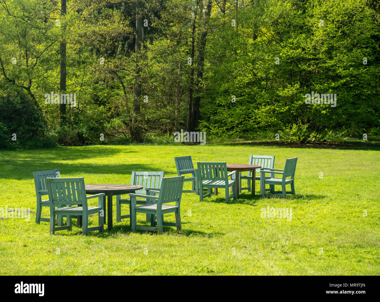 Sur une table et chaises de pelouse dans grand jardin Banque D'Images
