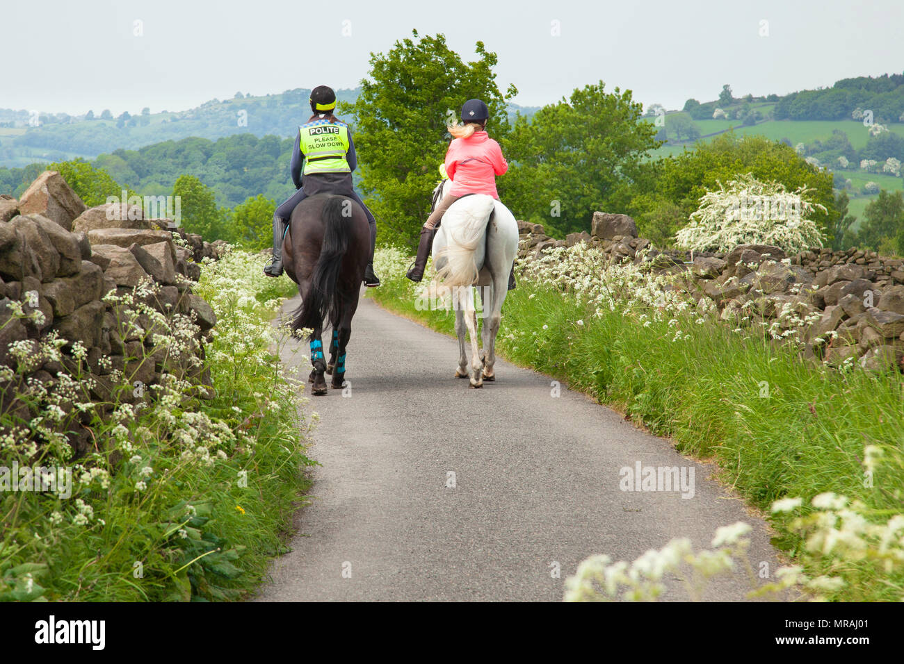 Upper Holloway, Derbyshire, Angleterre, Royaume-Uni 26 Mai 2018. Riders excercise leurs chevaux sur l'un des nombreux du Derbyshire ruelles bordées de cow parsley, par une chaude journée de printemps dans le Derbyshire Dales. Credit : Mark Richardson/Alamy Live News Banque D'Images