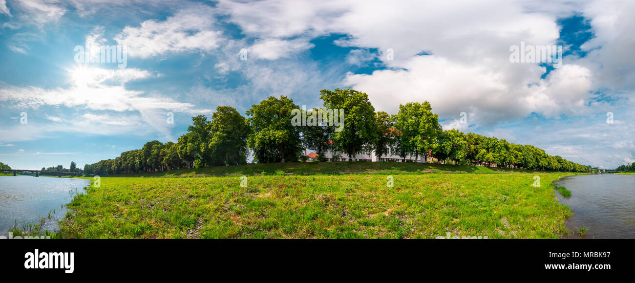 Panorama de la plus longue allée de tilleul en fleurs. beau paysage sur une journée ensoleillée avec quelques nuages sur un fond bleu ciel d'été. Uzhgorod, Ukraine emplacement Banque D'Images
