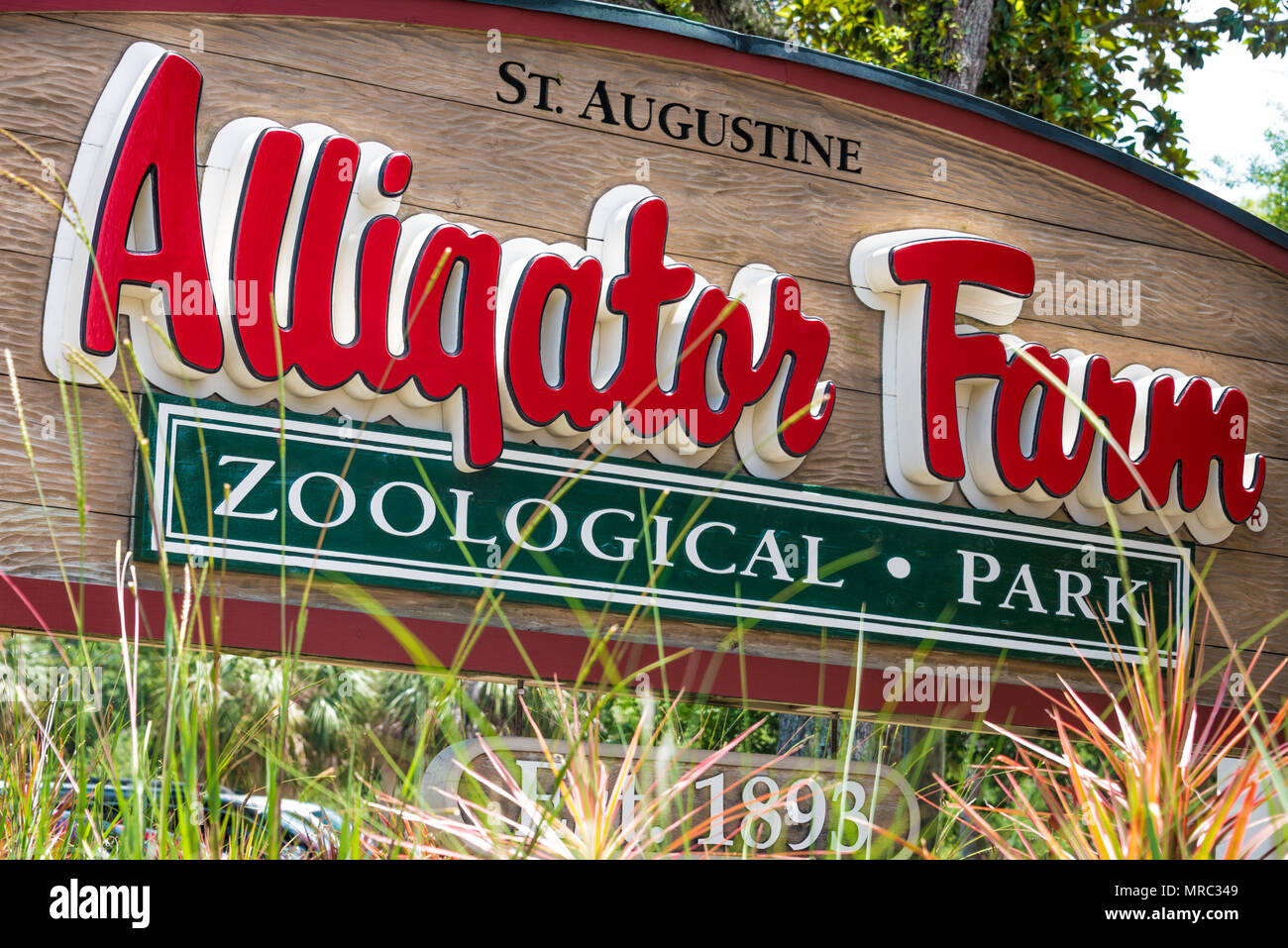 La rue Augustine Alligator Farm Zoological Park sur l'Île Anastasia à Saint Augustine, en Floride, est une attraction touristique populaire créée en 1893. Banque D'Images