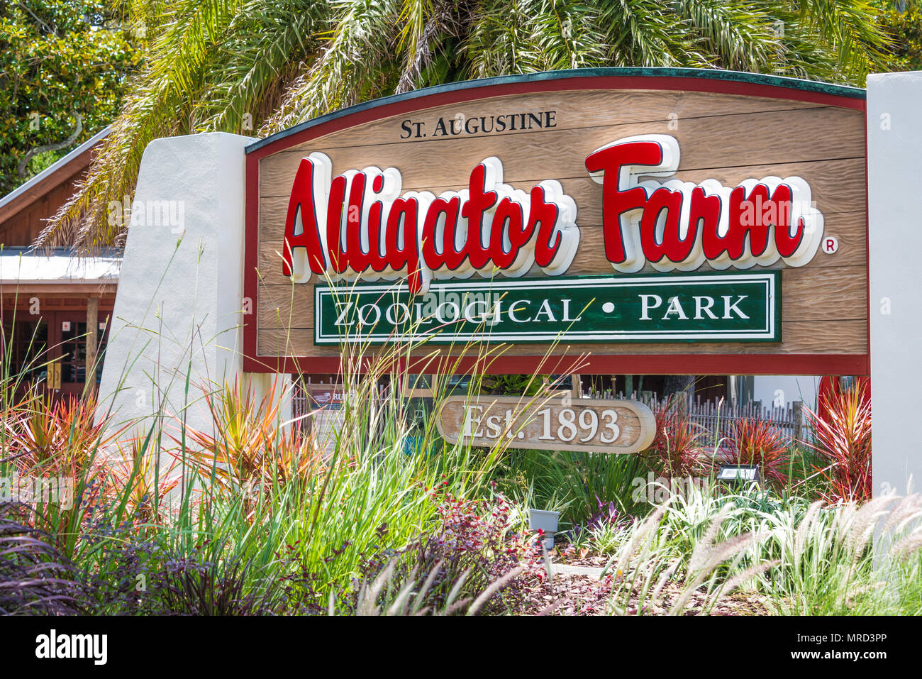 La rue Augustine Alligator Farm Zoological Park sur l'Île Anastasia à Saint Augustine, en Floride, est une attraction touristique populaire créée en 1893. Banque D'Images