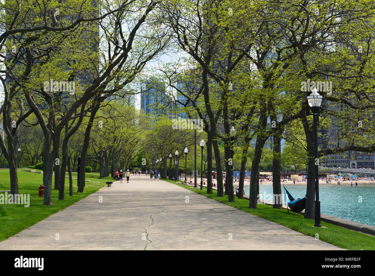 Un chemin bordé d'arbres à la Milton Lee Park de Chicago's Olive quartier Streeterville, qui se trouve sur une péninsule de terre juste au nord de Navy Pier. Banque D'Images