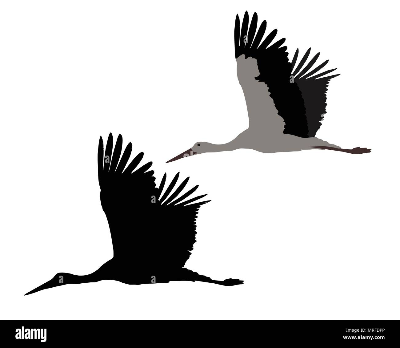Silhouette de flying cigogne, isolé sur fond blanc - vector Illustration de Vecteur