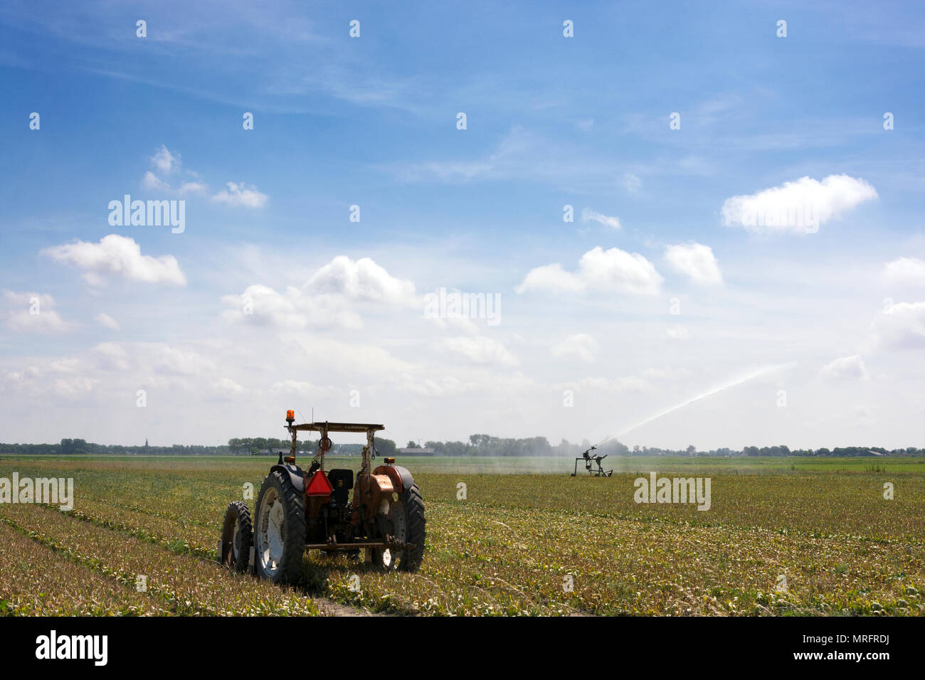 Paysage hollandais avec ampoules exagérées, tracteur, l'irrigation, ciel bleu, les nuages, l'environnement rural Banque D'Images
