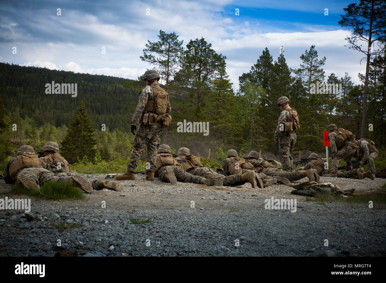 Marines avec une force de rotation Maritime Europe 17.1 effectuer une M240B machine moyenne gamme d'armes à feu près de Stjørdal, la Norvège, le 7 juin 2017. Les Marines ont tiré le M240B medium machine gun et le MK19 40mm lance-grenades automatique sur des cibles jusqu'à 500 mètres. Les Marines exécutées la gamme pour maintenir l'état de préparation de l'unité, l'accomplissement de la mantra du Marine Corps, "n'importe quel endroit et l'ICLÉM." (U.S. Marine Corps photo par le Cpl. Victoria Ross) Banque D'Images